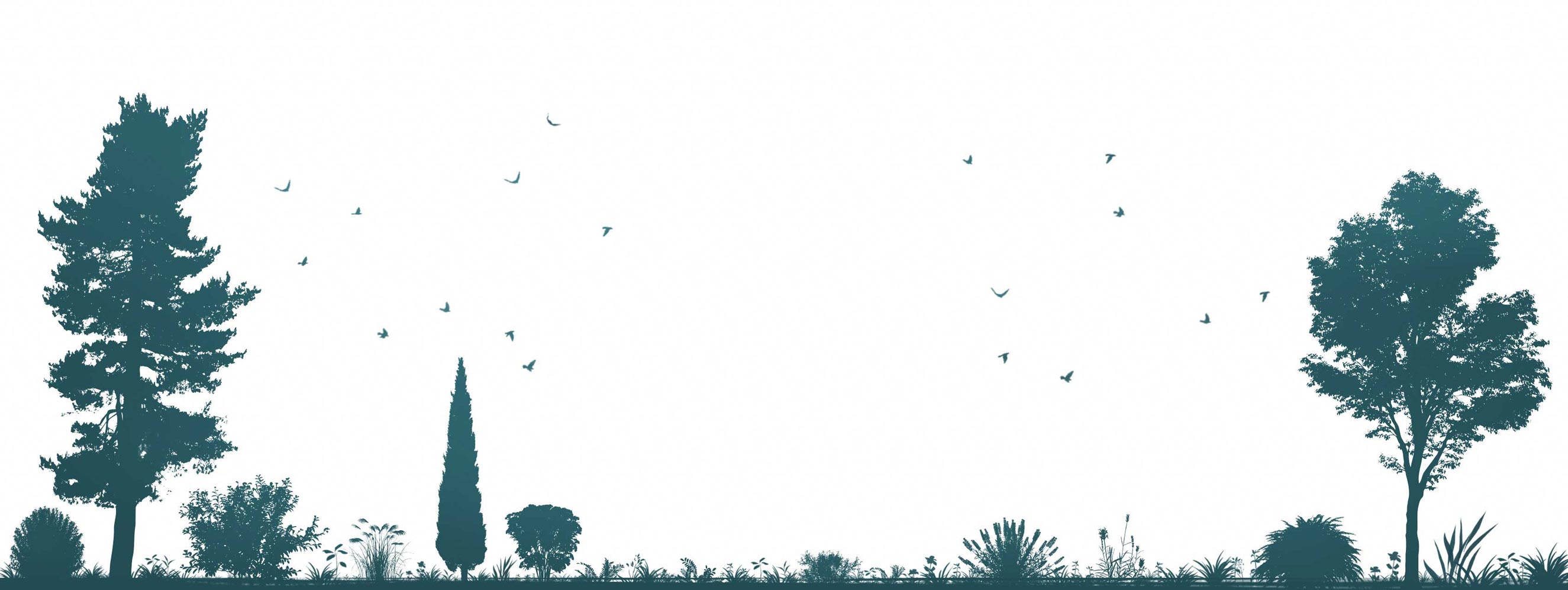 [background image] image of the store location (for a home goods store)