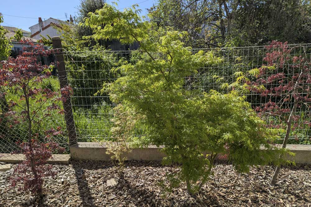 aménagement-jardin-la-rochelle