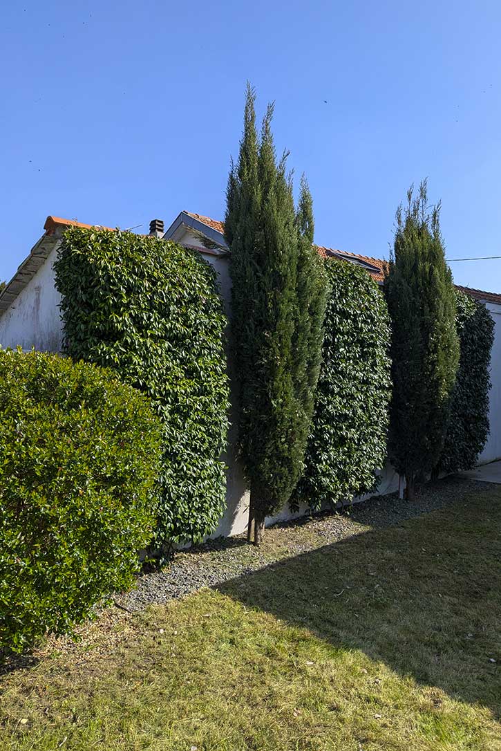 aménagement-jardin-la-rochelle