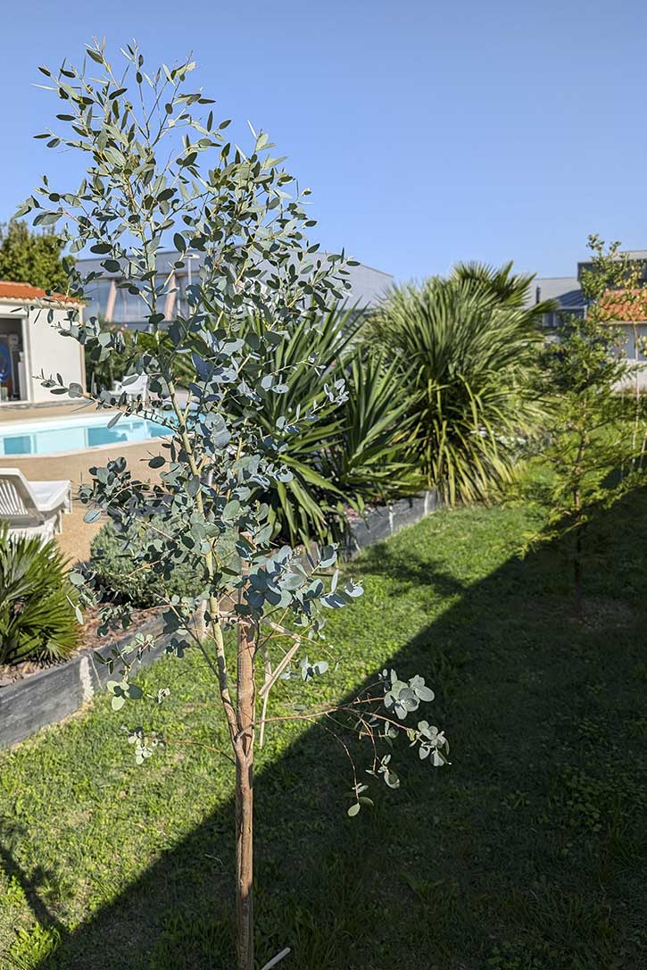 aménagement-jardin-la-rochelle